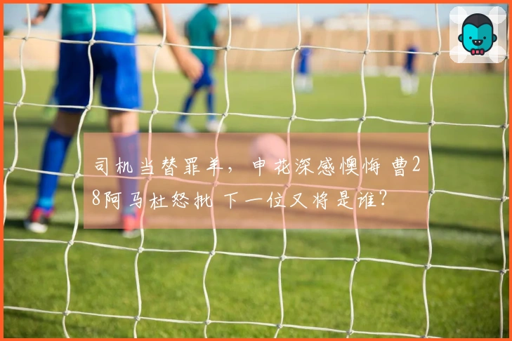 司机当替罪羊，申花深感懊悔 曹28阿马杜怒批 下一位又将是谁？