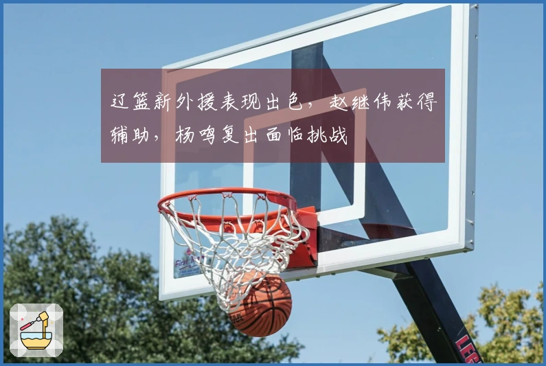 辽篮新外援表现出色，赵继伟获得辅助，杨鸣复出面临挑战